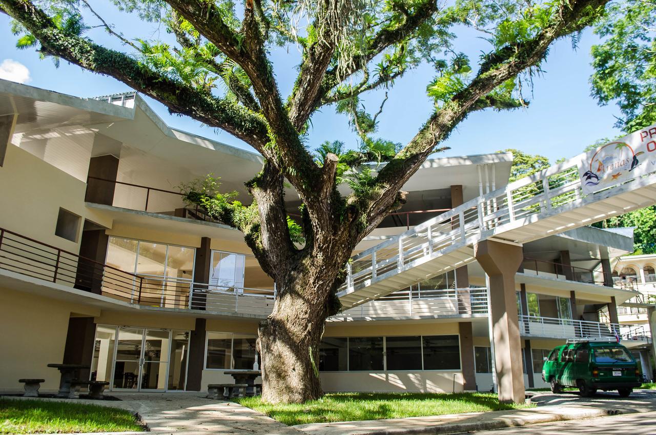Hotel Arenas En Punta Leona Playa Agujas Экстерьер фото