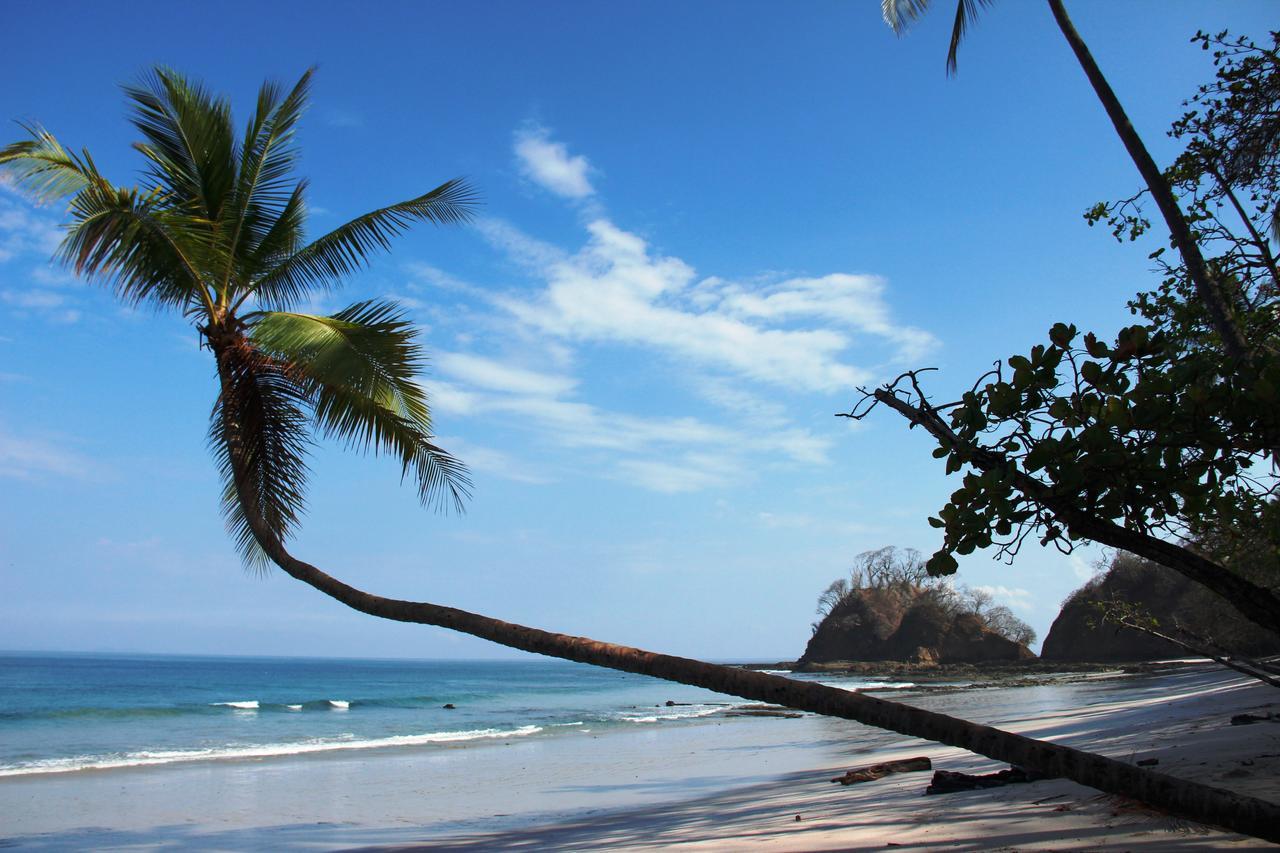 Hotel Arenas En Punta Leona Playa Agujas Экстерьер фото